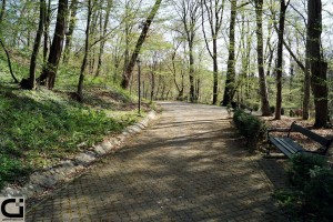 Parc Baile Govora